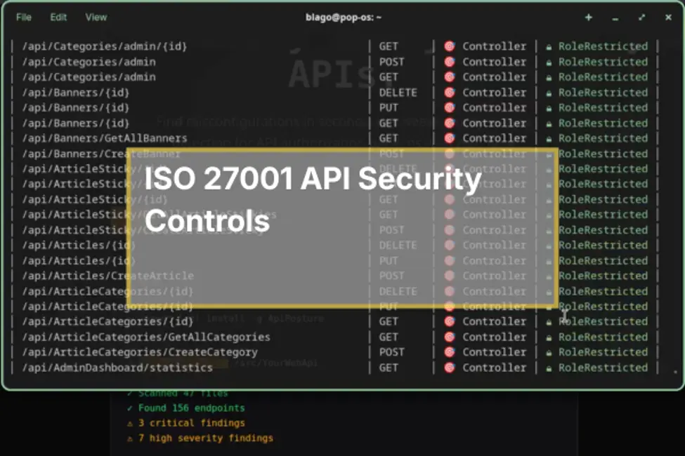 ISO 27001 API Security Controls: A Technical Guide